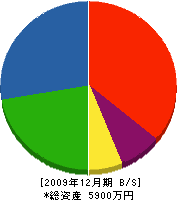 佐竹建設 貸借対照表 2009年12月期
