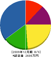辻木工所 貸借対照表 2009年12月期