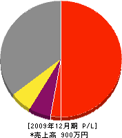 福辻工務店 損益計算書 2009年12月期