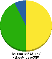 石本電気 貸借対照表 2010年12月期