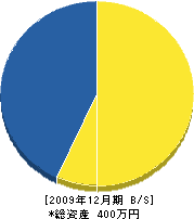 中村電気工業所 貸借対照表 2009年12月期