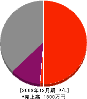 姉川建築 損益計算書 2009年12月期