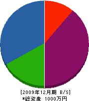 サンエツ設備 貸借対照表 2009年12月期