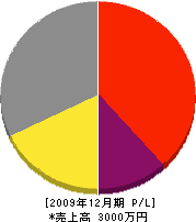 菅沼電工 損益計算書 2009年12月期
