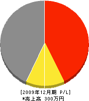 松建Ｃｏｒｐｏｒａｔｉｏｎ 損益計算書 2009年12月期