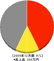 松建Corporation 損益計算書 2009年12月期 松建Corporation 損益計算書 2009年12月期