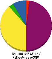 松崎建設 貸借対照表 2009年12月期