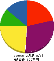 西村塗装 貸借対照表 2009年12月期