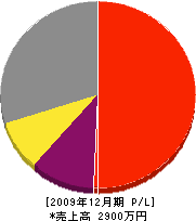 松本塗装工業 損益計算書 2009年12月期