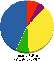 谷川清木園 貸借対照表 2009年12月期
