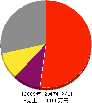 藤川電気 損益計算書 2009年12月期