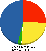 姉川建築 貸借対照表 2009年12月期