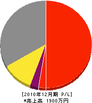 伊澤電気商会 損益計算書 2010年12月期