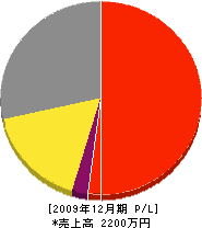 向本土木 損益計算書 2009年12月期