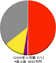 インテリア桜井 損益計算書 2009年12月期
