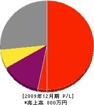 西日本塗研興業 損益計算書 2009年12月期