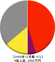矢島興業 損益計算書 2009年12月期
