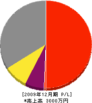 森田土木 損益計算書 2009年12月期
