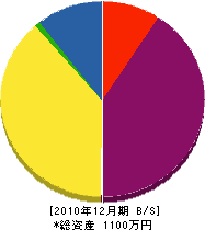 向陽建設 貸借対照表 2010年12月期