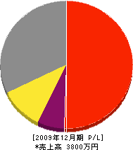 福田左官店 損益計算書 2009年12月期