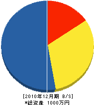 峰松建設 貸借対照表 2010年12月期