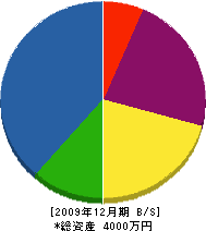 岡山組 貸借対照表 2009年12月期