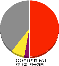 阪本建工 損益計算書 2009年12月期