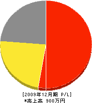阪南水道工業所 損益計算書 2009年12月期