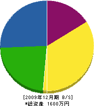 タムロトソー工業 貸借対照表 2009年12月期