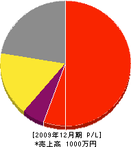 平岡電工 損益計算書 2009年12月期