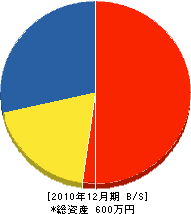 宮沢工務店 貸借対照表 2010年12月期