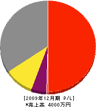 中元土建 損益計算書 2009年12月期