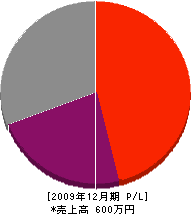松本塗装店 損益計算書 2009年12月期