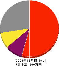 江島畳商店 損益計算書 2009年12月期