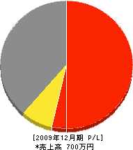 藤本組 損益計算書 2009年12月期