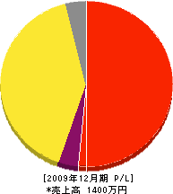 島田造園 損益計算書 2009年12月期