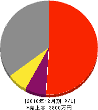 ヨコヤマ建設 損益計算書 2010年12月期