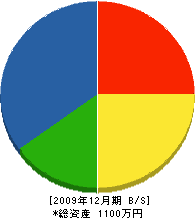 吉﨑建設 貸借対照表 2009年12月期