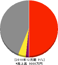 大西土木 損益計算書 2010年12月期