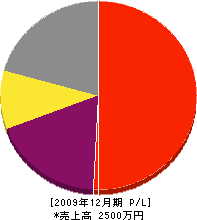 新井土木 損益計算書 2009年12月期