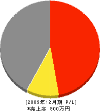 田中建業 損益計算書 2009年12月期 田中建業 損益計算書 2009年12月期