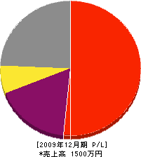 中村塗装工業 損益計算書 2009年12月期