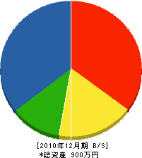 平戸電工社 貸借対照表 2010年12月期